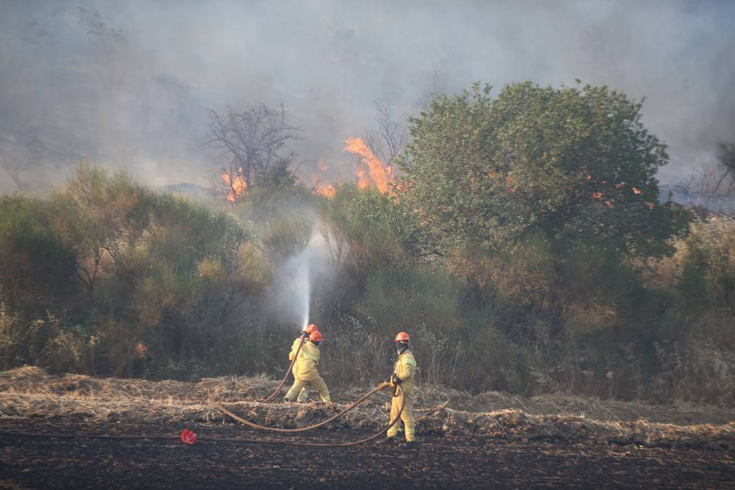 Çanakkale'deki Tarihi Alan'ın güney hattı ziyarete açıldı! Orman yangınında kapatılmıştı - Resim: 56